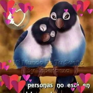 Meet your Posher, Tomasa